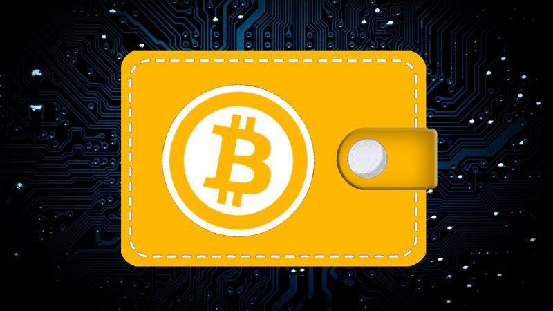 Top Crypto Wallets: Find the Right Wallet to Secure Your Digital Assets